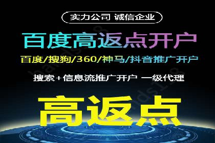 行业标杆的SEM竞价营销案例研究