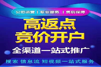 解析百度搜索推广的广告投放策略及效果
